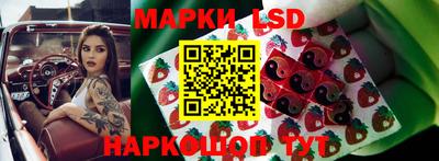 Альфа ПВП Донской
