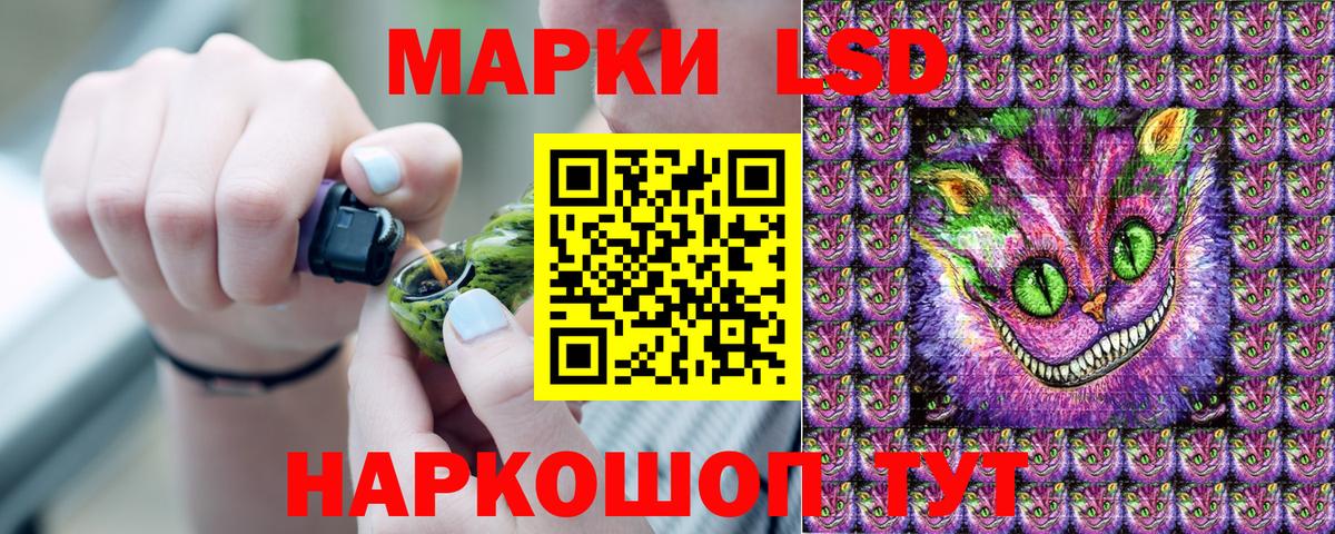 даркнет сайт  Вход с VPN  Марки 25I-NBOMe 1,5мг  Каменск-Шахтинский  Марки 25I-NBOMe 1,5мг 