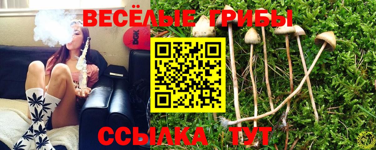 Метадон Каменск-Шахтинский
